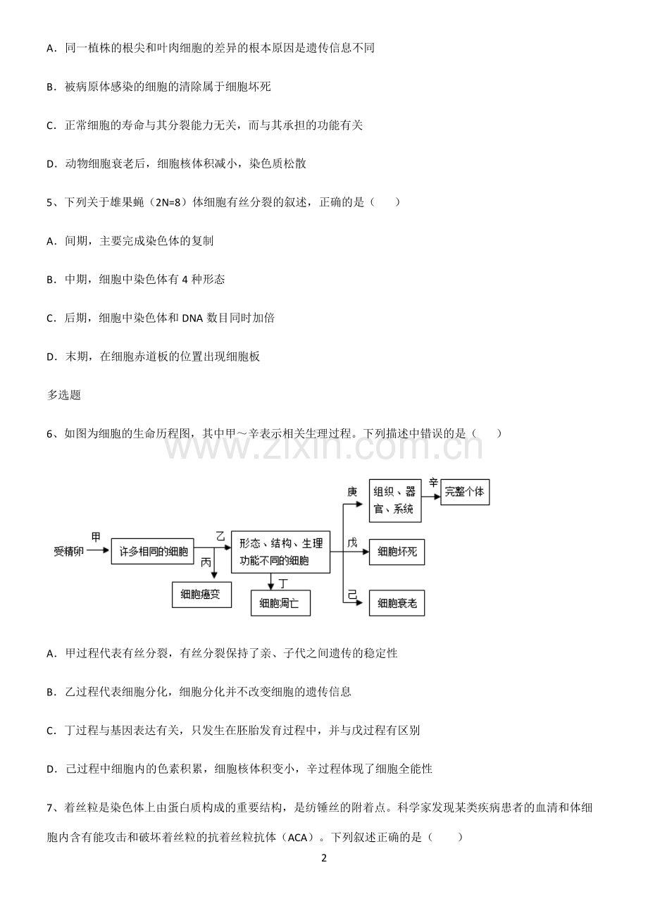 (文末附答案)人教版2022年高中生物细胞的生命历程重点知识归纳.pdf_第2页