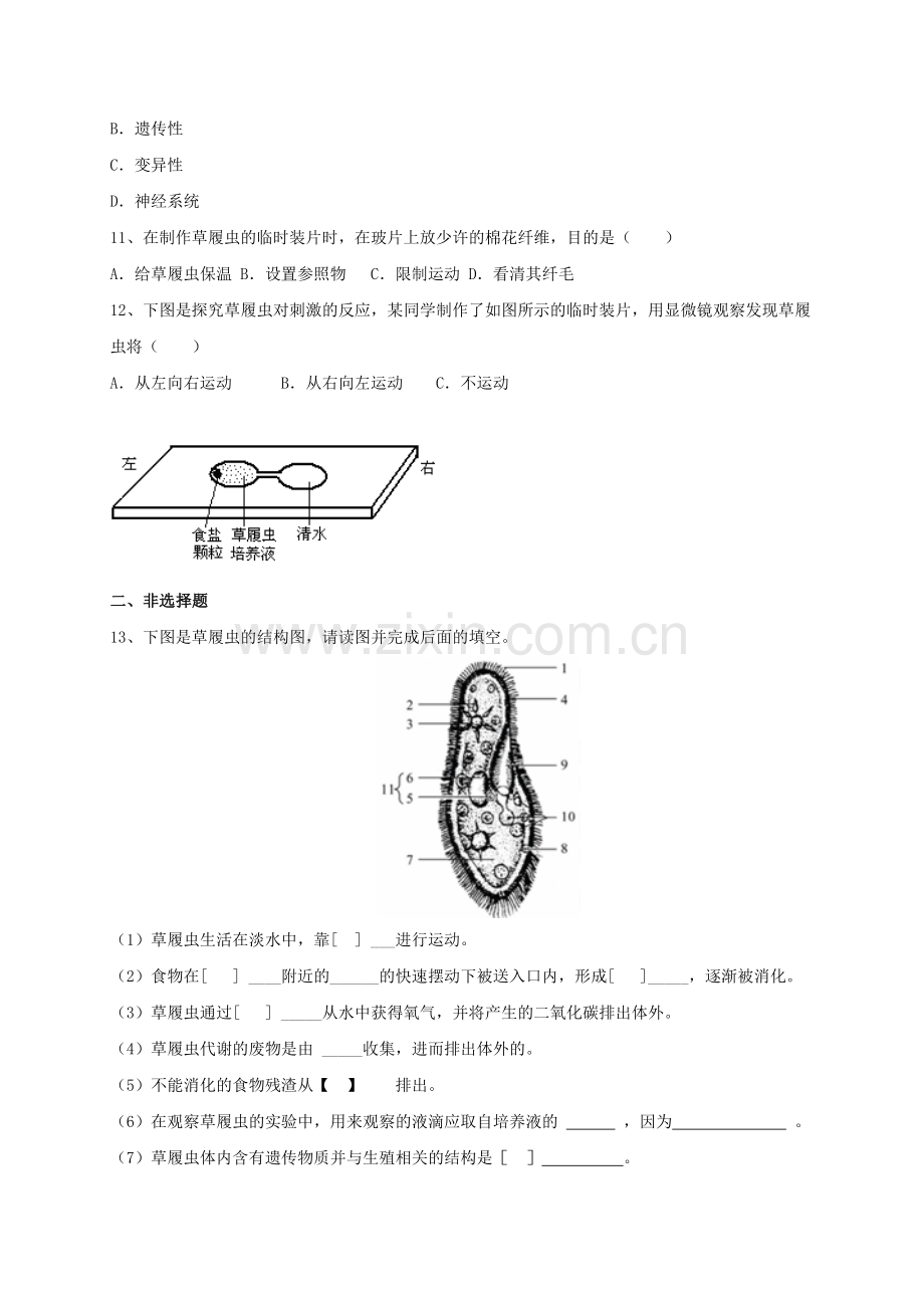 七年级生物上册24单细胞生物练习新版新人教版1.doc_第2页