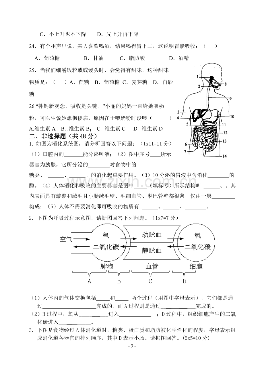 七年级生物下册第一次月考试题及答案.doc_第3页