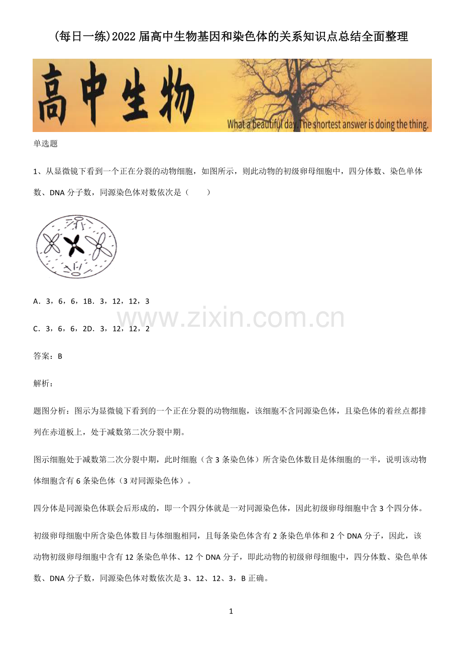 2022届高中生物基因和染色体的关系知识点总结全面整理.pdf_第1页