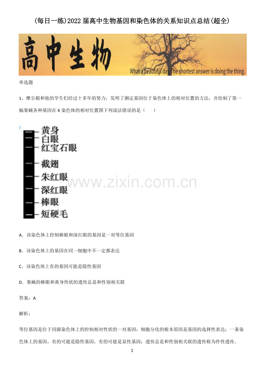 2022届高中生物基因和染色体的关系知识点总结.pdf_第1页