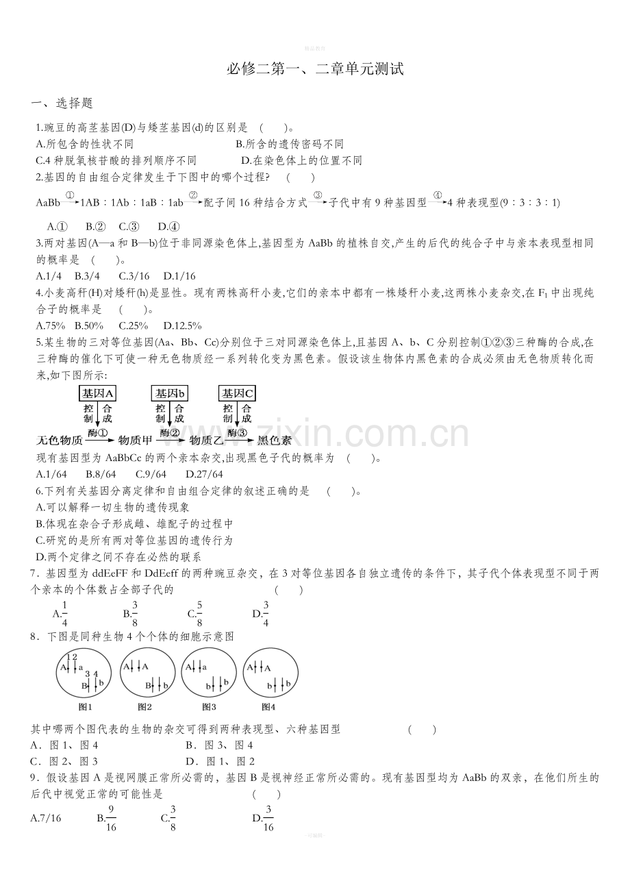 高中生物必修二-一二章测试题.doc_第1页