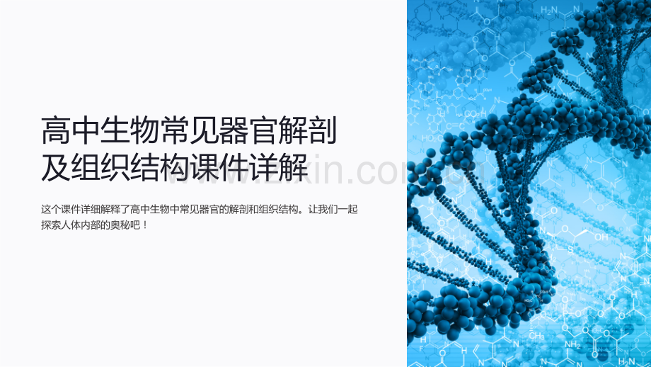 高中生物常见器官解剖及组织结构课件详解.ppt_第1页