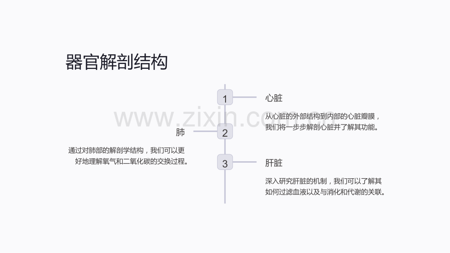 高中生物常见器官解剖及组织结构课件详解.ppt_第3页