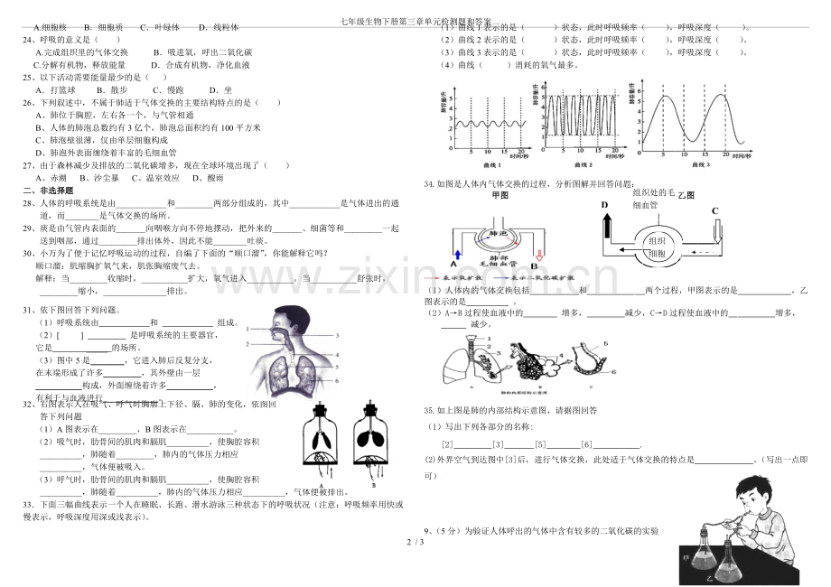 七年级生物下册第三章单元检测题和答案.pdf_第2页