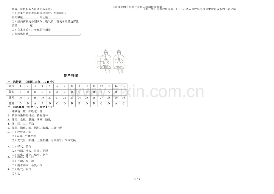 七年级生物下册第三章单元检测题和答案.pdf_第3页