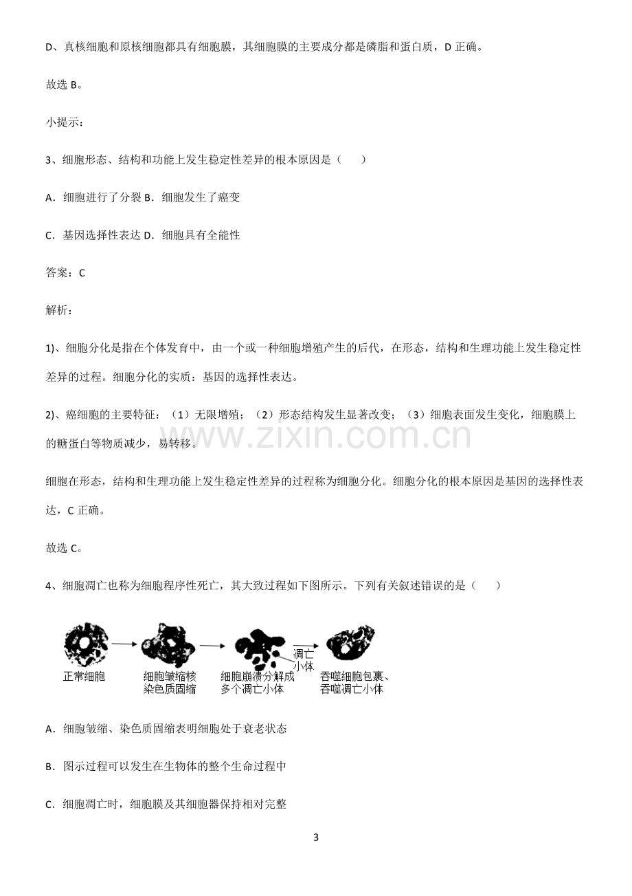 高中生物必修一细胞的生命历程解题技巧总结.pdf_第3页