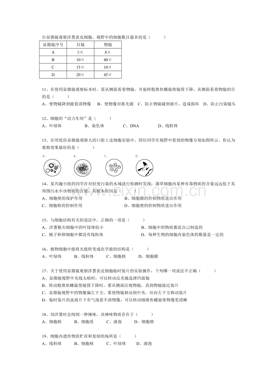 七年级生物上册第二单元综合测试题(人教版)及答案.doc_第2页