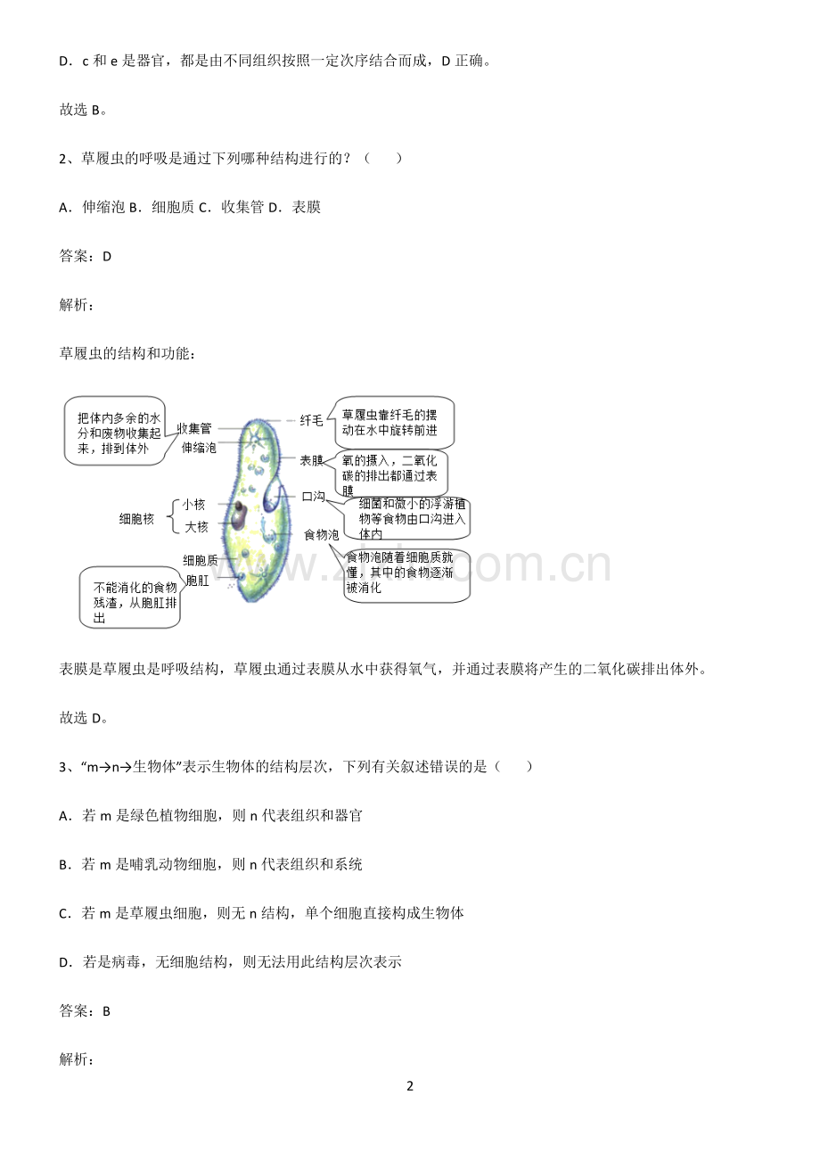 2022届初中生物生物体的结构层次高频考点知识梳理.pdf_第2页