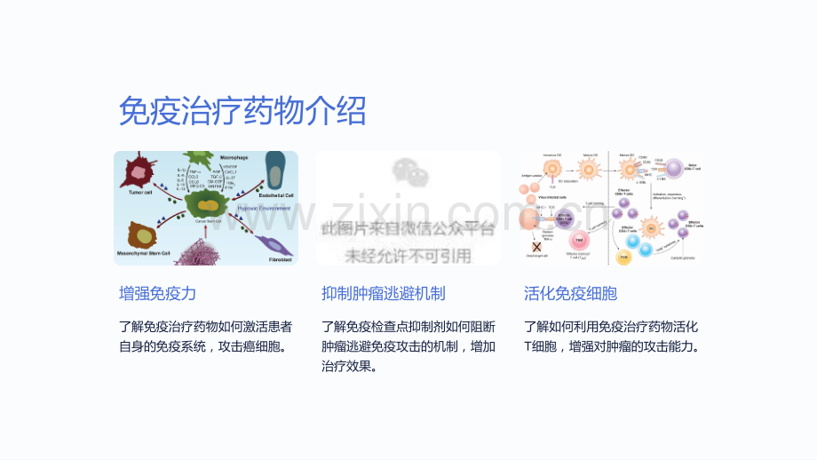 《肺癌药物治疗及疗效评价课件》.ppt_第3页