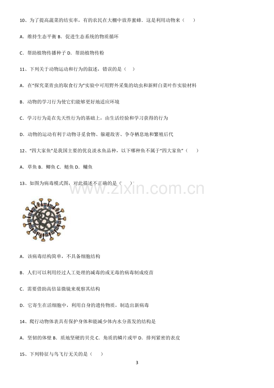 (文末附答案)2022届初中生物生物圈中的其他生物重点知识点大全.pdf_第3页