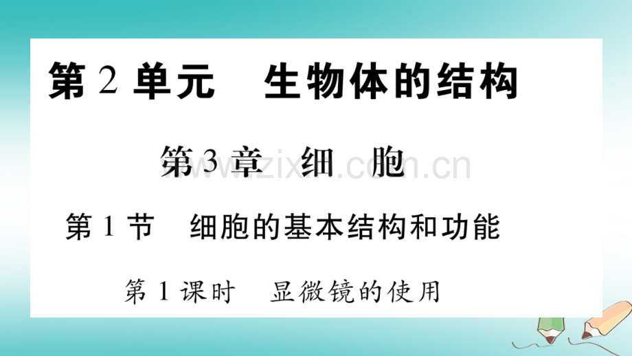 20202021七年级生物上册细胞的基本结构和功能第1课时习题课件.ppt_第1页