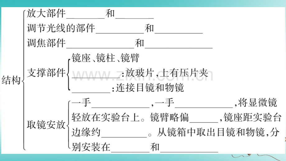 20202021七年级生物上册细胞的基本结构和功能第1课时习题课件.ppt_第2页