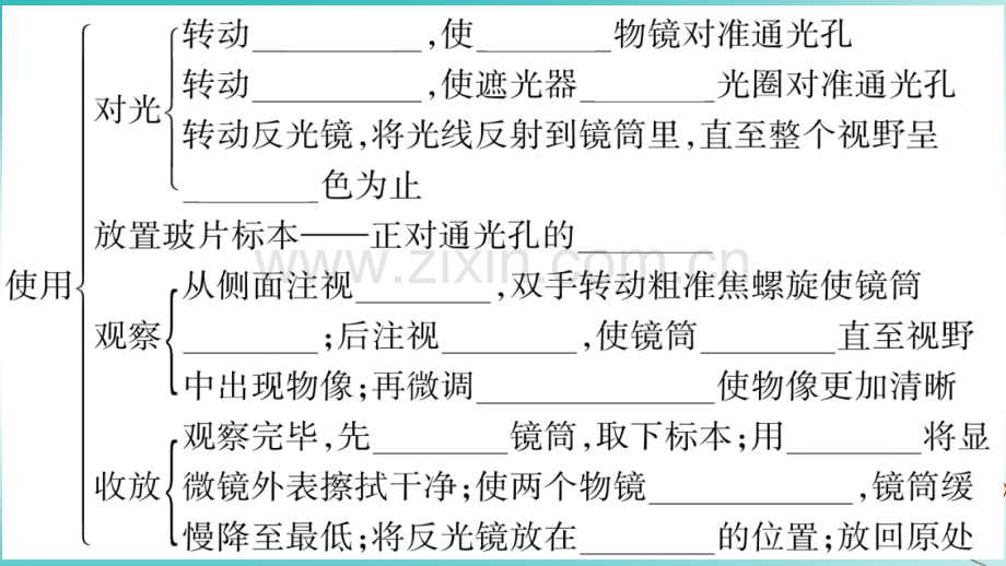 20202021七年级生物上册细胞的基本结构和功能第1课时习题课件.ppt_第3页