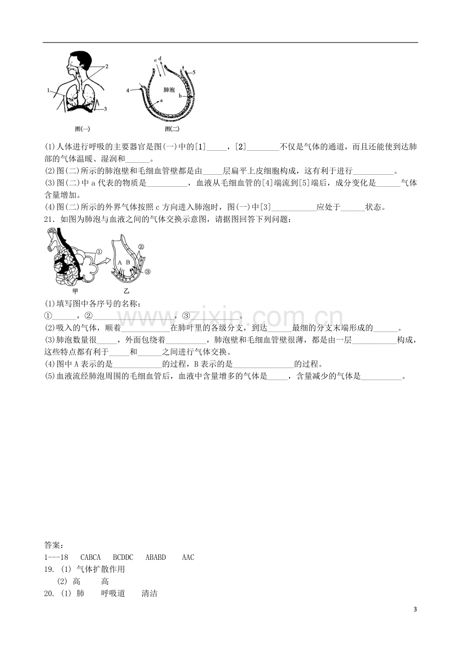 七年级生物下册第三章第二节发生在肺内的气体交换同步练习题(新版)新人教版1.doc_第3页