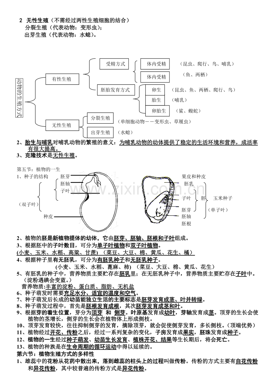 七年级下册科学复习提纲第一章.pdf_第2页