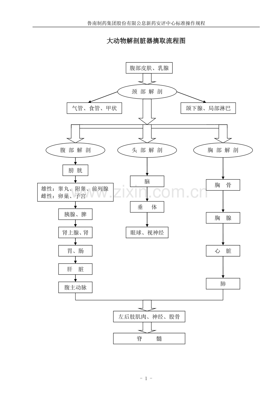 动物解剖脏器摘取流程图.doc_第1页