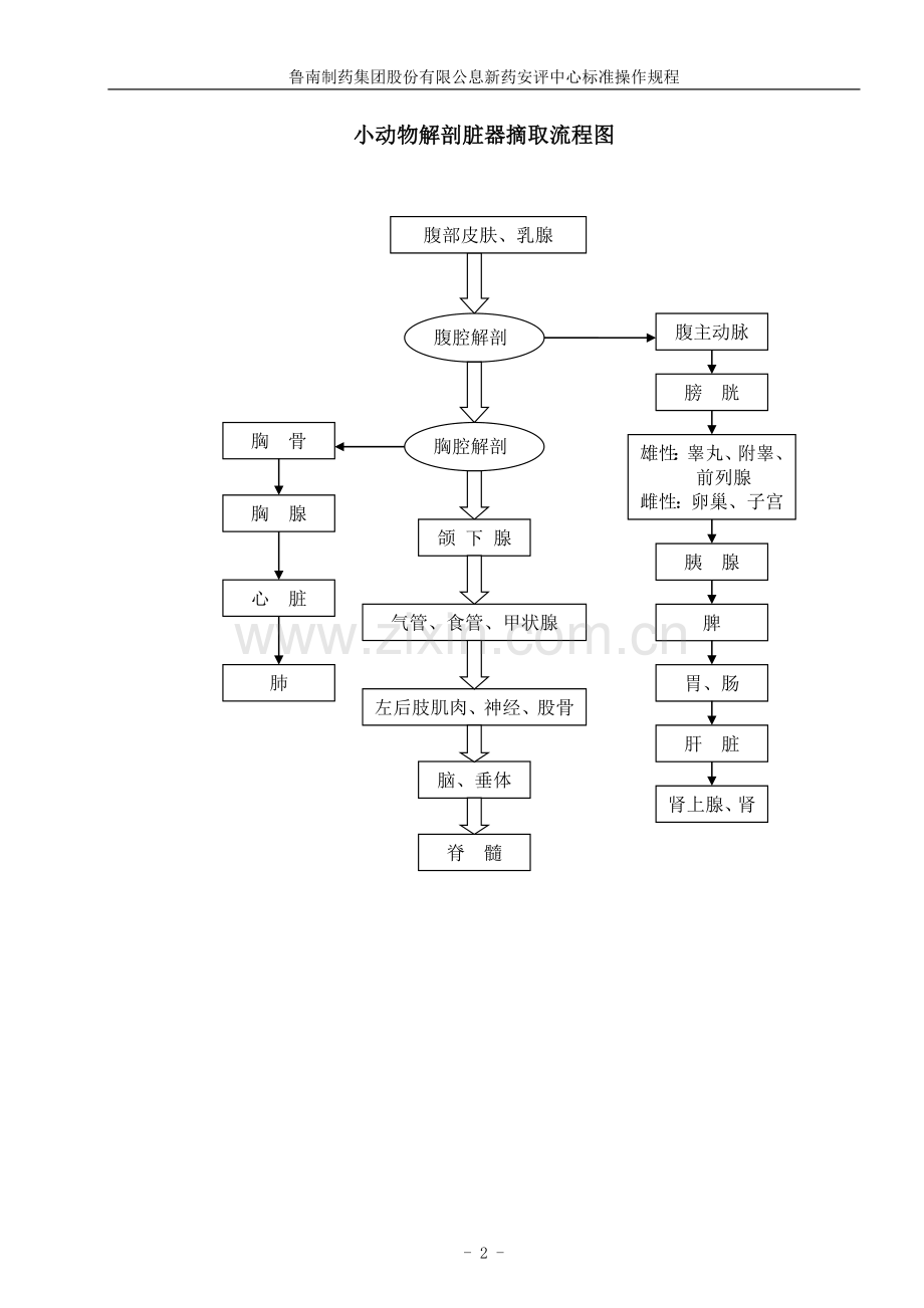 动物解剖脏器摘取流程图.doc_第2页