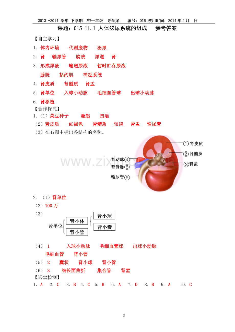 015-11.1人体泌尿系统的组成导学案(苏教版).doc_第3页