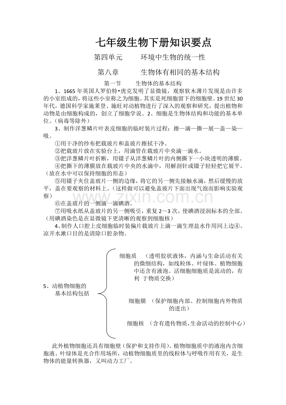 七年级生物下册知识要点.doc_第1页