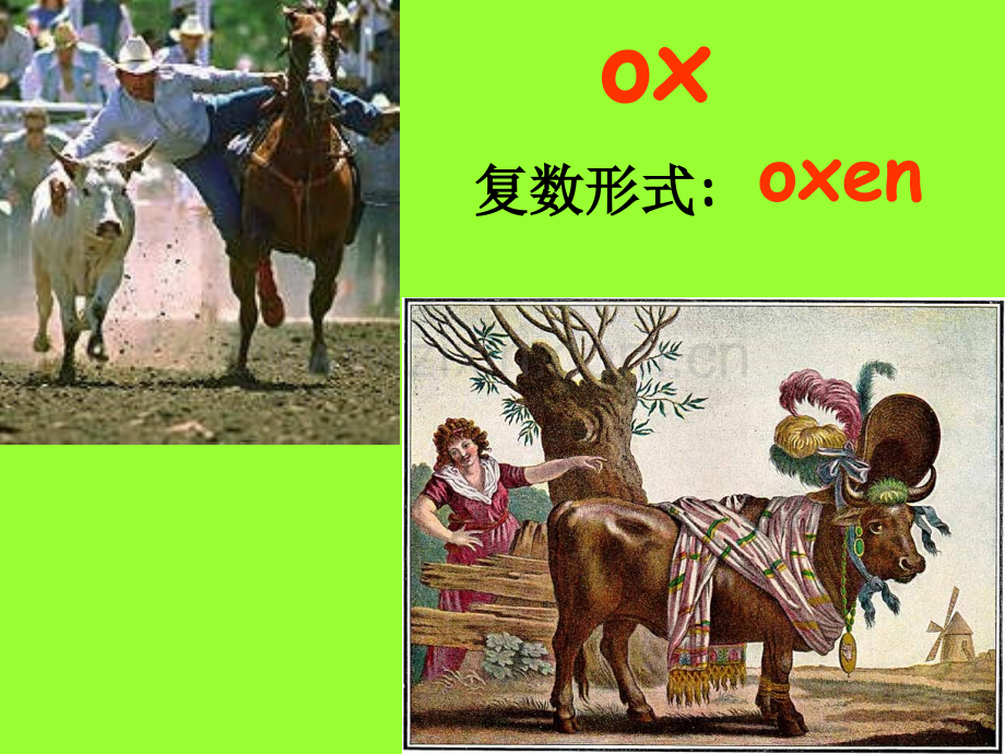 选修7Unit4Sharing-单词.ppt_第2页