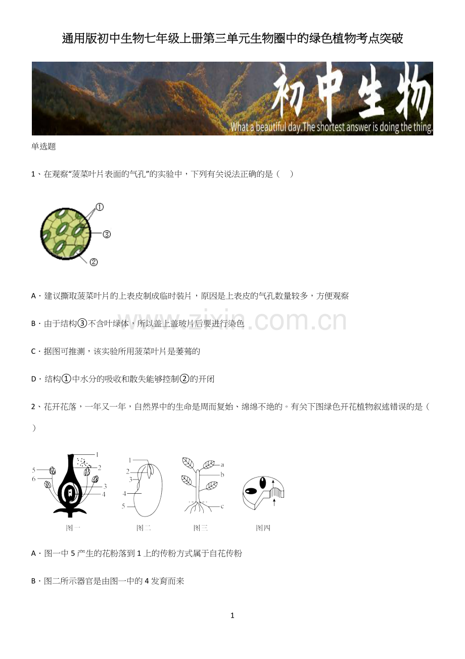 通用版初中生物七年级上册第三单元生物圈中的绿色植物考点突破.docx_第1页