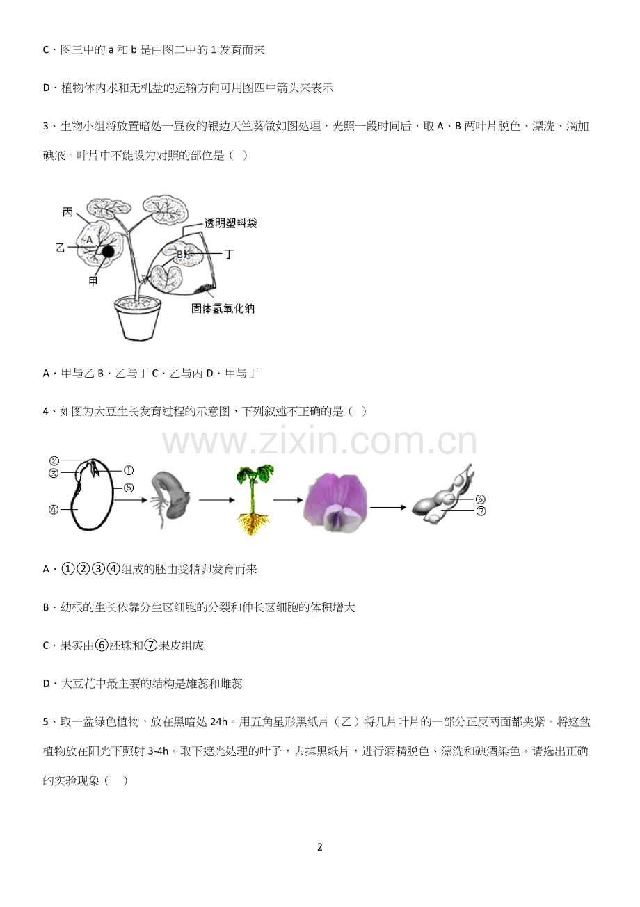 通用版初中生物七年级上册第三单元生物圈中的绿色植物考点突破.docx_第2页