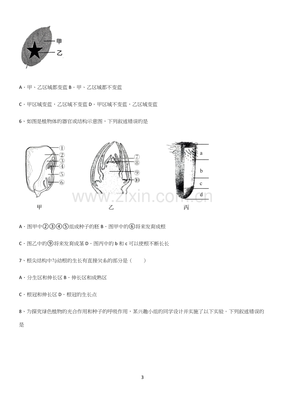 通用版初中生物七年级上册第三单元生物圈中的绿色植物考点突破.docx_第3页