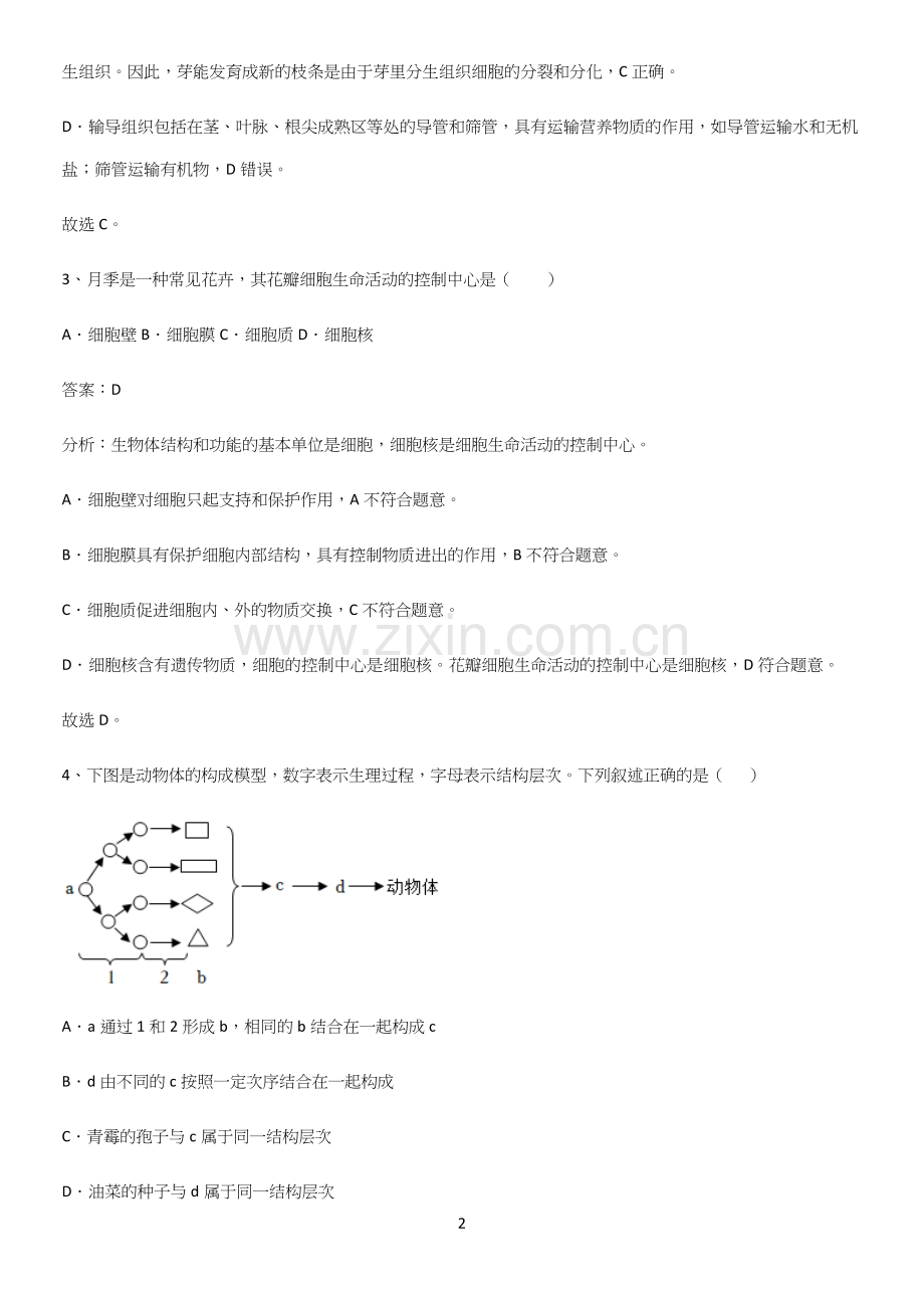 人教版初中生物七年级上册第二单元生物体的结构层次考点大全笔记.docx_第2页