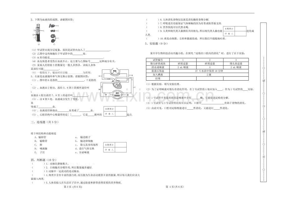 七年级下册生物期末试卷及答案.pdf_第2页