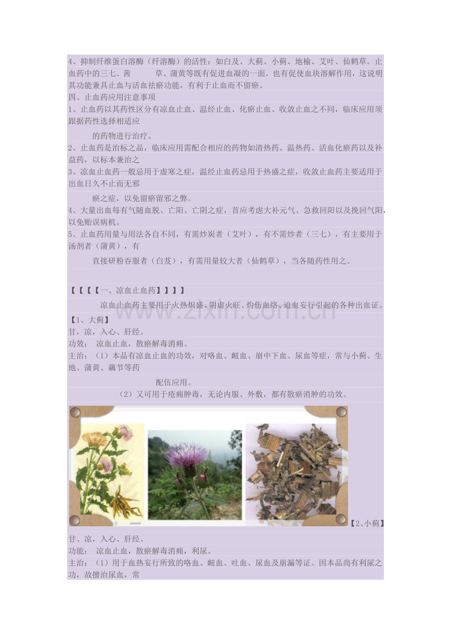 中药分类——止血药.doc_第2页