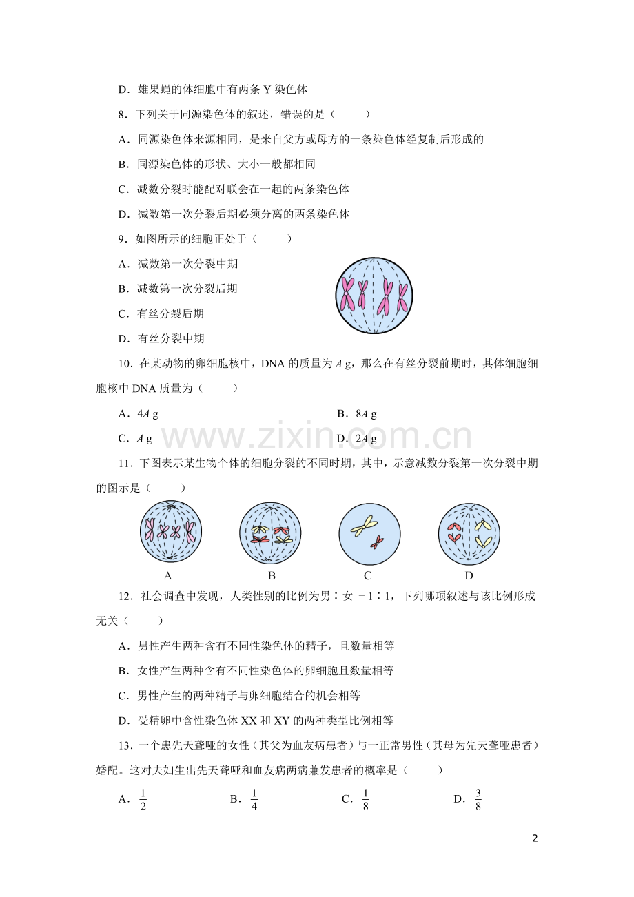 高中生物必修二基因和染色体的关系测试题及答案.doc_第2页