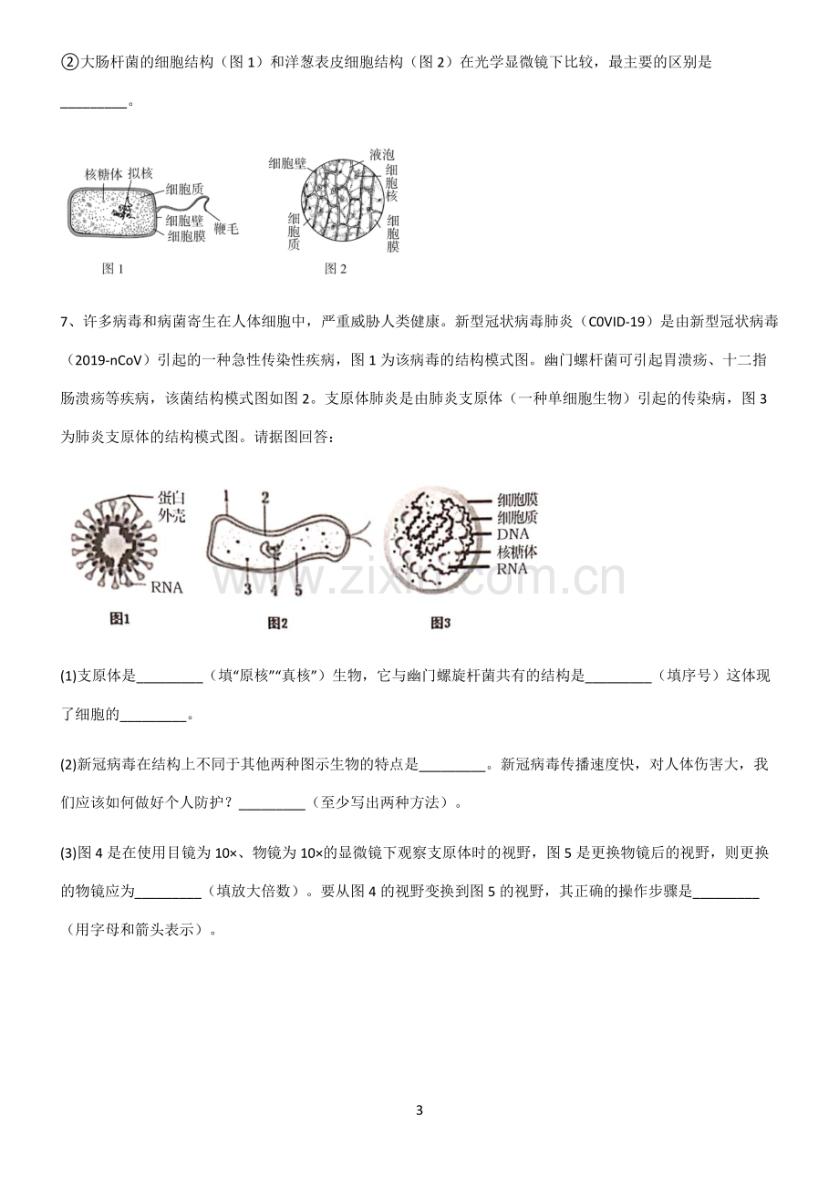 (文末附答案)人教版2022年高中生物第一章走进细胞专项训练题.pdf_第3页