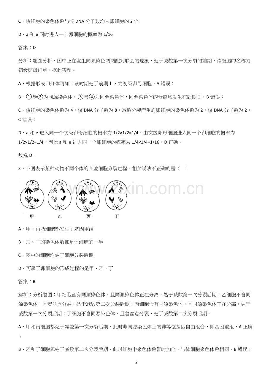 河南省高中生物必修二第二章基因和染色体的关系知识点题库.docx_第2页