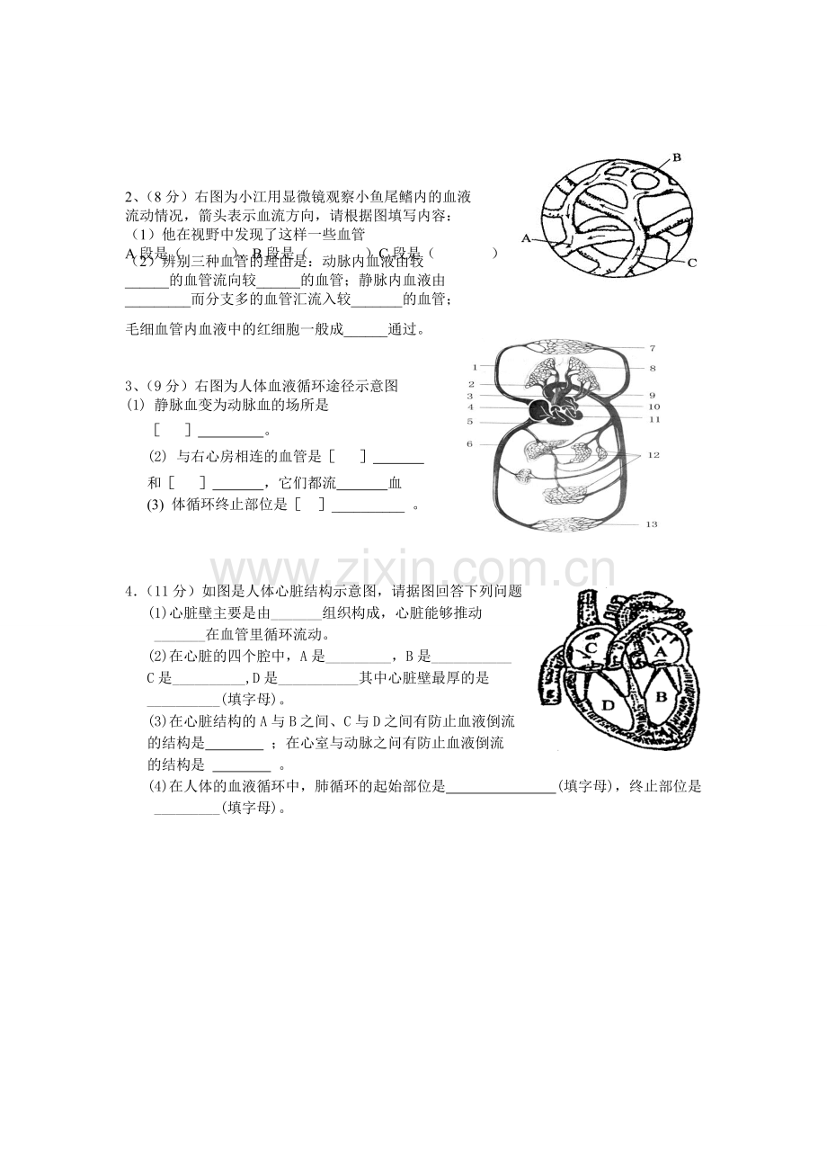 七年级生物下册第四章单元检测题及答案.pdf_第3页