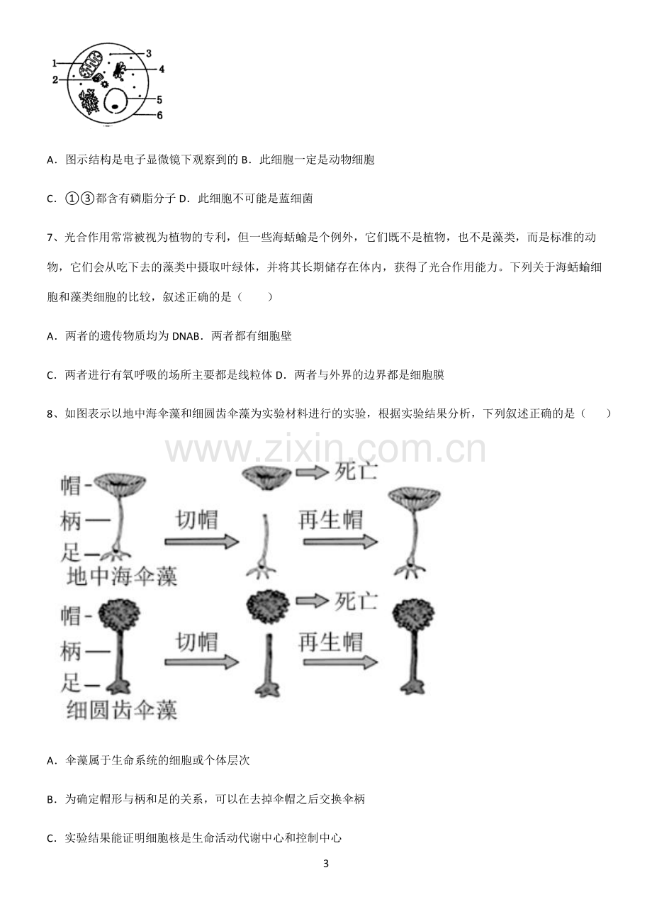 (文末附答案)2022届高中生物第三章细胞的基本构成考点突破.pdf_第3页