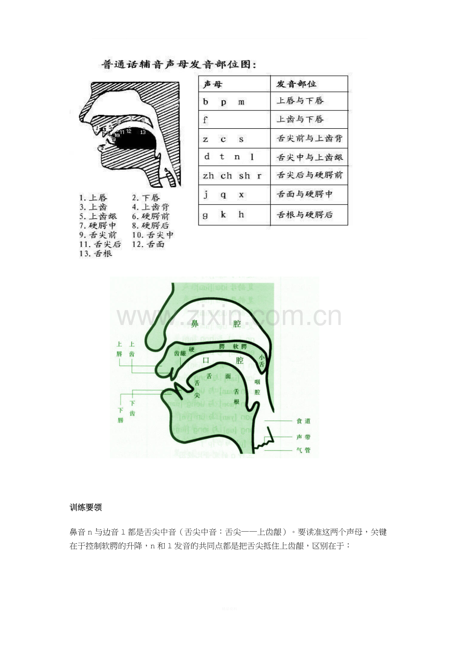 鼻音边音训练要领.doc_第1页