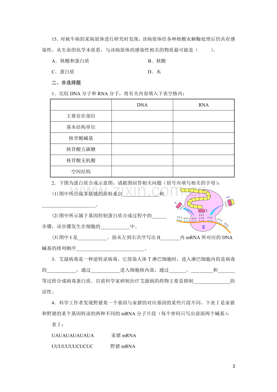 高中生物必修二基因的表达测试题及答案.doc_第3页