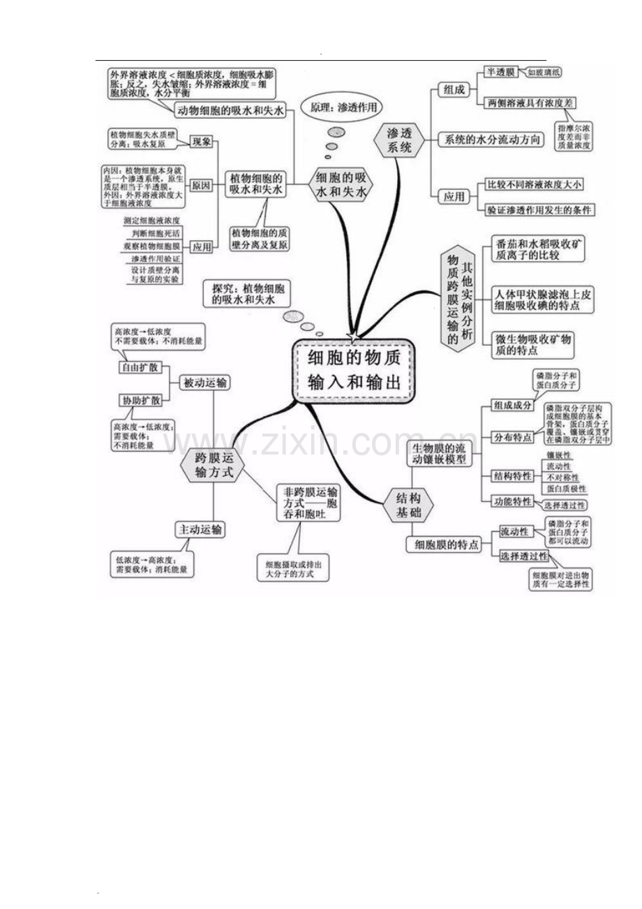 高中生物20张思维导图.doc_第2页