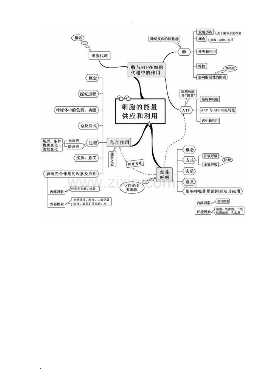 高中生物20张思维导图.doc_第3页