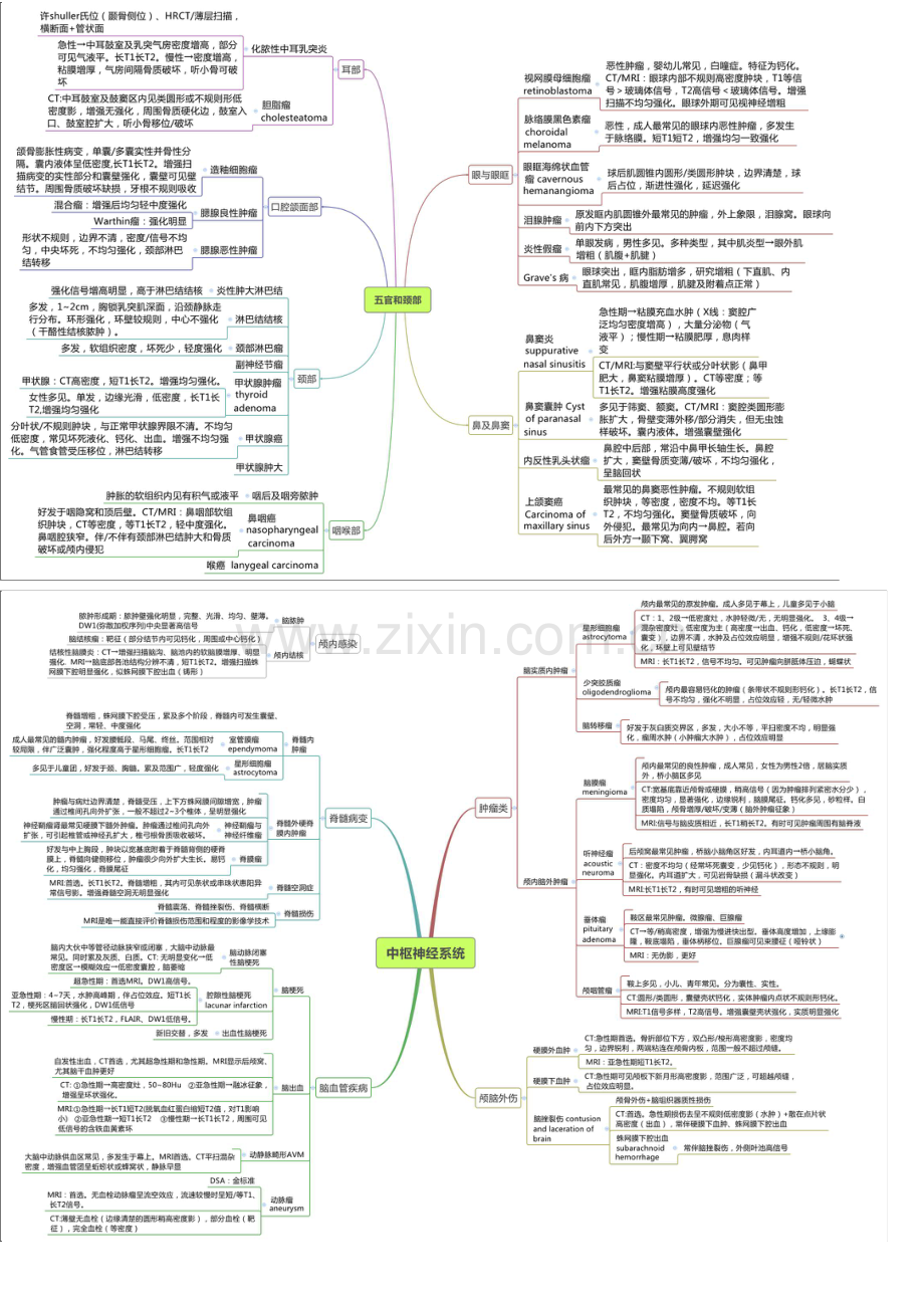 医学影像学总结笔记.doc_第2页