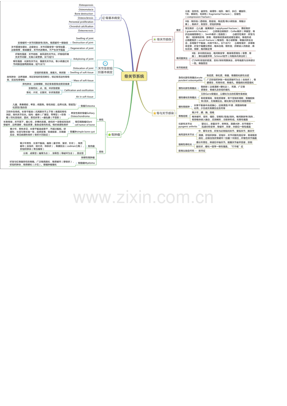 医学影像学总结笔记.doc_第3页