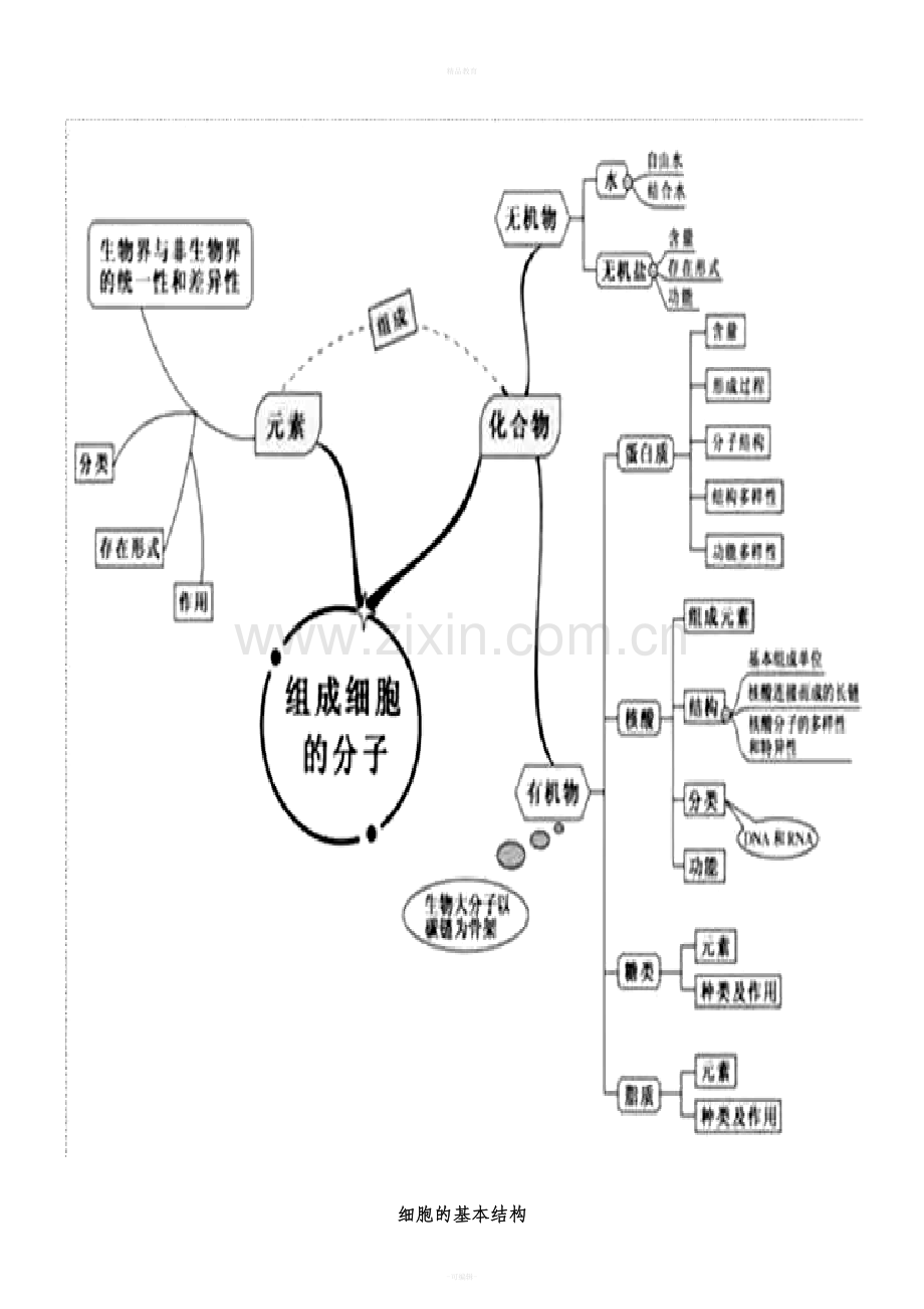 高中生物思维导图新版.doc_第3页