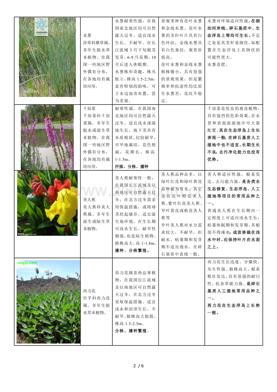 常用水生植物种类汇总.doc_第2页