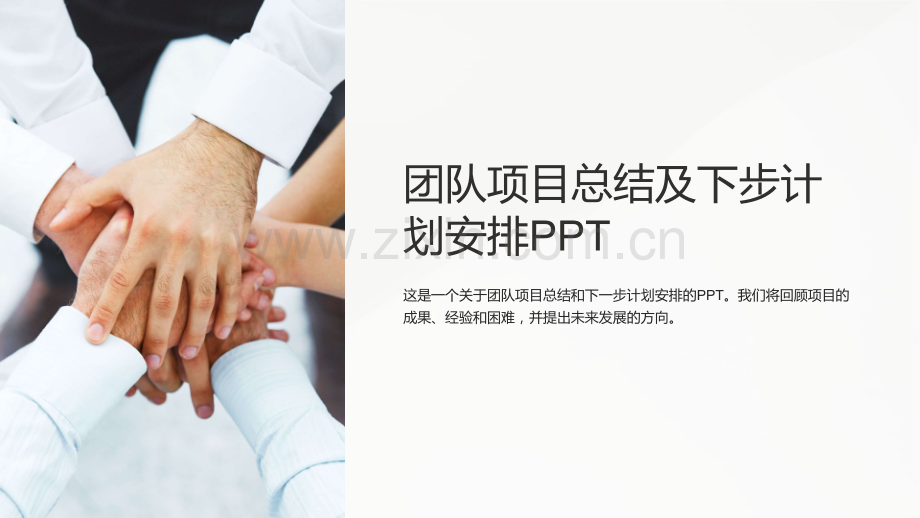 《团队项目总结及下步计划安排PPT》.ppt_第1页