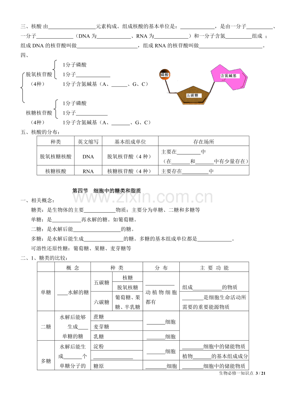 高中生物必修1知识点(填空)人教版.doc_第3页