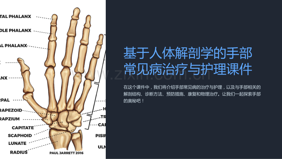 基于人体解剖学的手部常见病治疗与护理课件.ppt_第1页