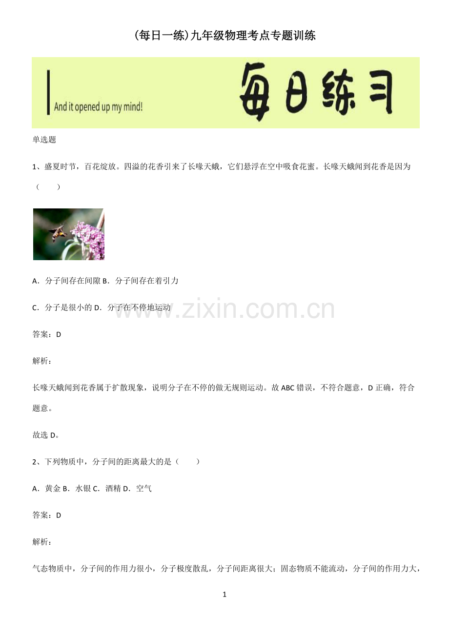 九年级物理考点专题训练.pdf_第1页