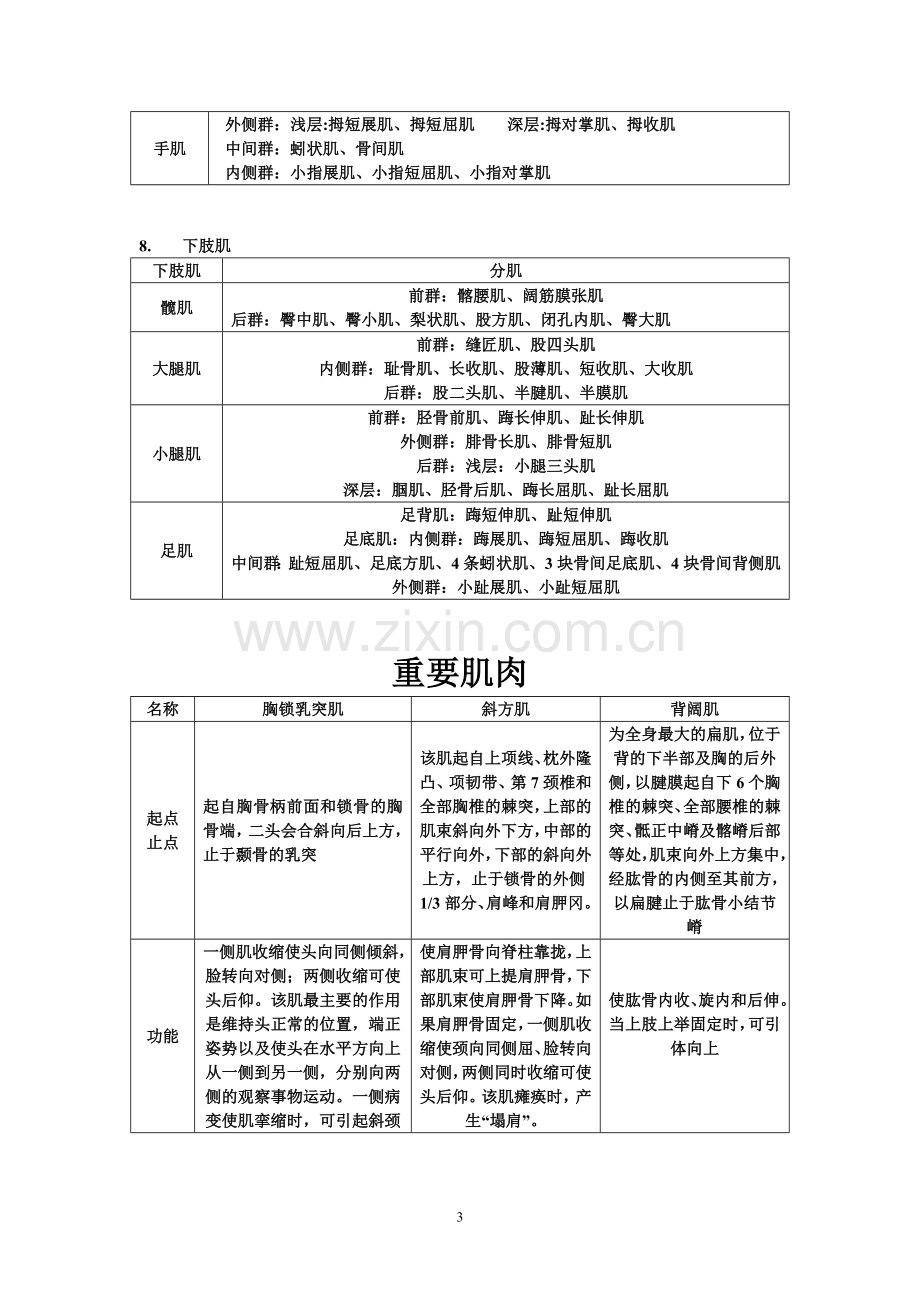 肌学知识点归纳.doc_第3页