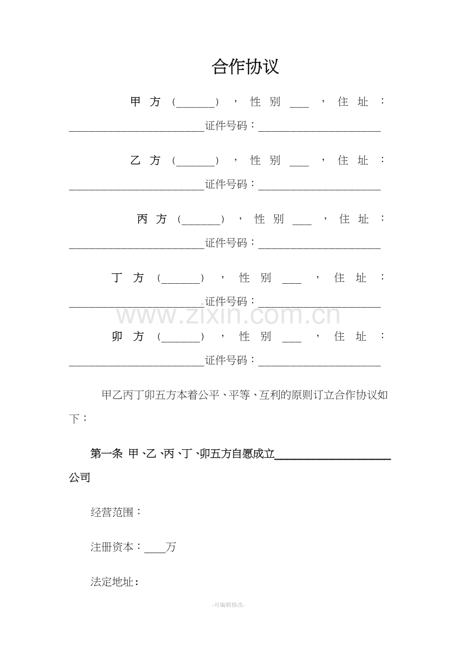 股东内部合作协议(模板).doc_第1页